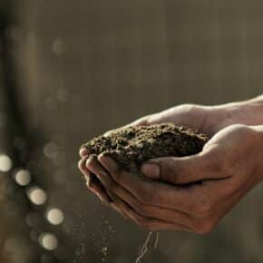 10 Gründe die für die Kompostierung im Garten sprechen