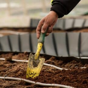 Die 10 hilfreichsten Helfer für die Gartenarbeit