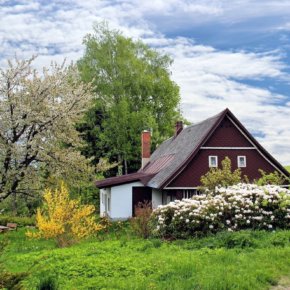 Gartentipps für den Frühling 